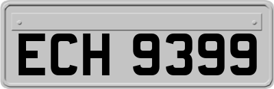 ECH9399