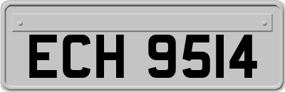 ECH9514