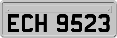 ECH9523