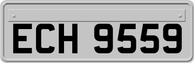 ECH9559