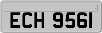 ECH9561
