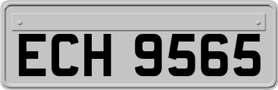 ECH9565