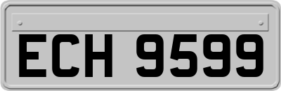 ECH9599