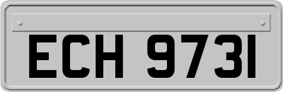 ECH9731