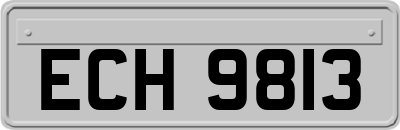 ECH9813