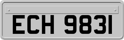 ECH9831