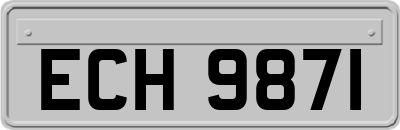 ECH9871