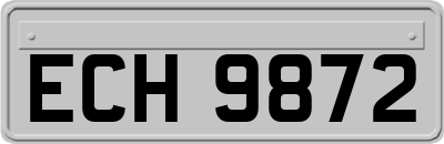 ECH9872