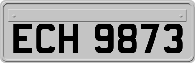 ECH9873