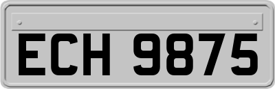 ECH9875