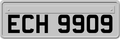 ECH9909