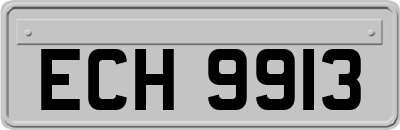 ECH9913