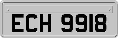 ECH9918