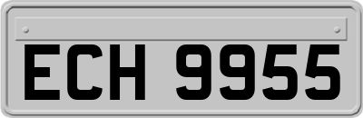 ECH9955