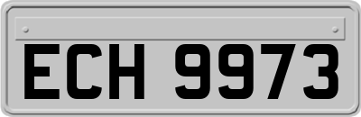 ECH9973