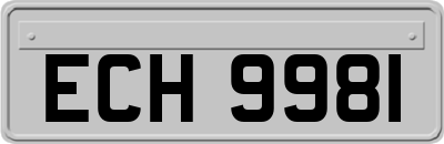 ECH9981