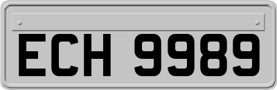ECH9989