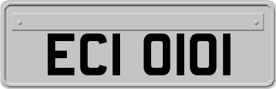 ECI0101