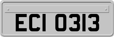ECI0313