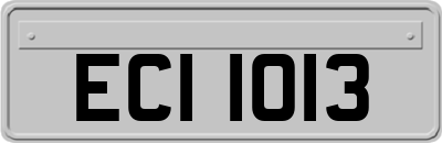 ECI1013