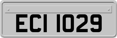 ECI1029