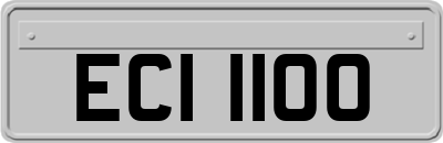 ECI1100