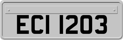 ECI1203