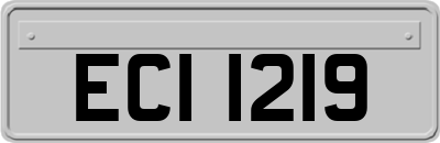 ECI1219