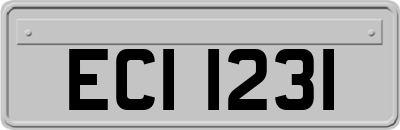 ECI1231