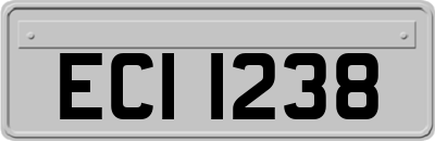 ECI1238
