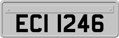 ECI1246