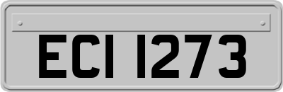 ECI1273