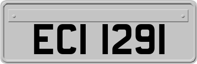 ECI1291