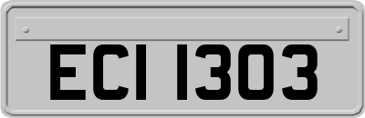 ECI1303