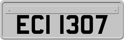 ECI1307
