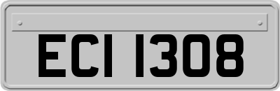ECI1308