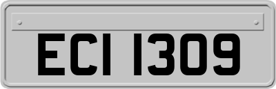 ECI1309
