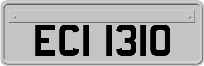 ECI1310