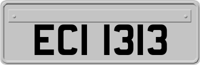 ECI1313