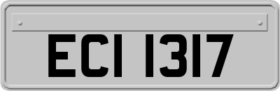 ECI1317