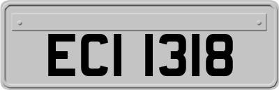 ECI1318