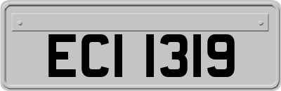 ECI1319