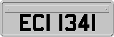 ECI1341