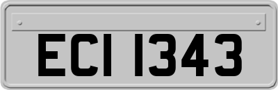 ECI1343