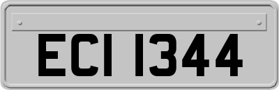 ECI1344