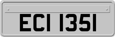 ECI1351
