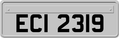 ECI2319