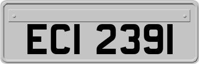 ECI2391