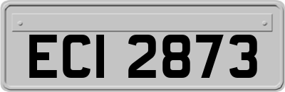 ECI2873