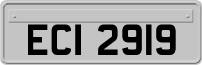 ECI2919